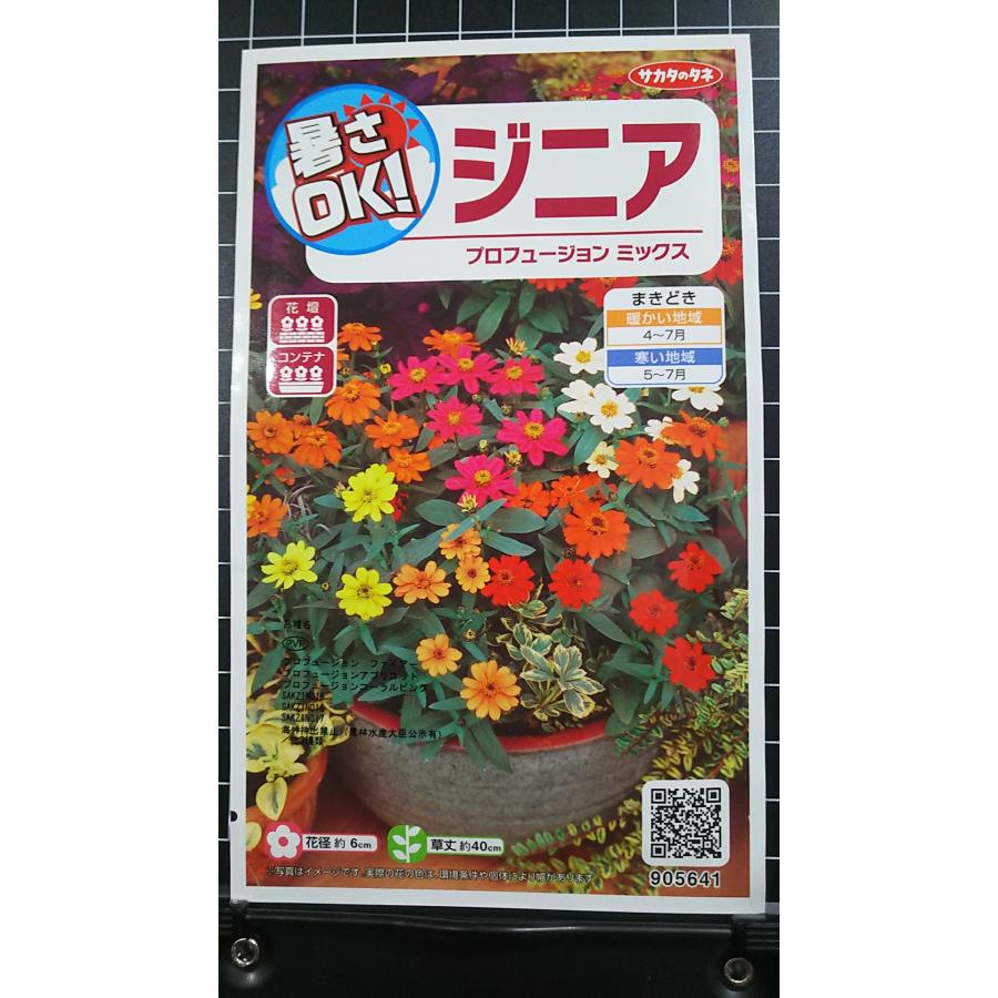 ３袋以上でクーポン割引 ジニア プロフュージョン ミックス 百日草 ヒャクニチソウ 種 郵便は送料無料 Sr237apurofumix きのくに種苗店 通販 Yahoo ショッピング