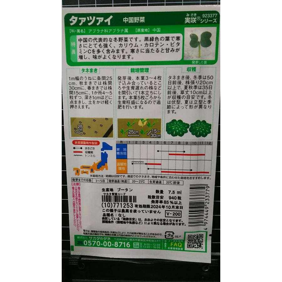 ３袋以上でクーポン割引 タァツァイ タアサイ 中国野菜 種 郵便は送料無料｜aridafarm｜02