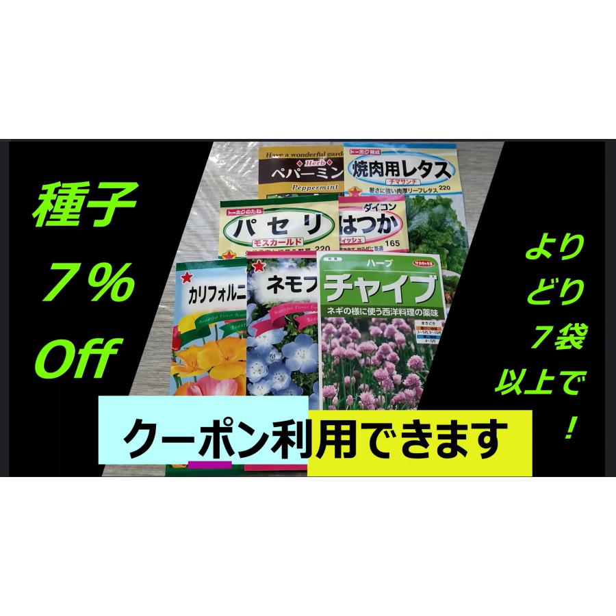 ３袋以上でクーポン割引 チャイブ エゾネギ ハーブ 種 郵便は送料無料｜aridafarm｜06