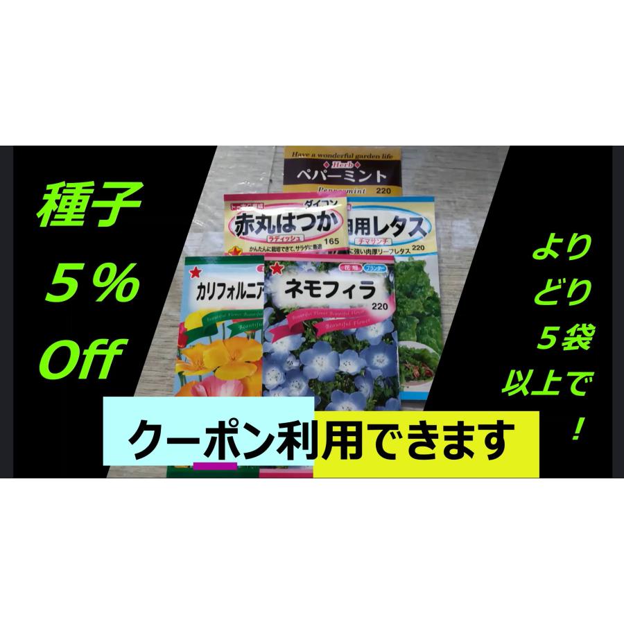 ３袋以上でクーポン割引 マリーゴールド ボナンザ オレンジ 種 郵便は送料無料｜aridafarm｜05