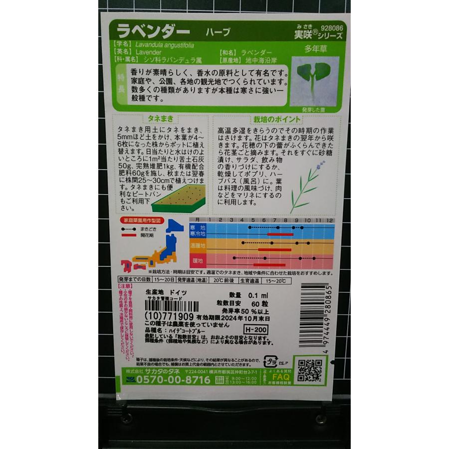 ３袋以上でクーポン割引 ラベンダー ポプリ ハーブ 種 郵便は送料無料｜aridafarm｜02