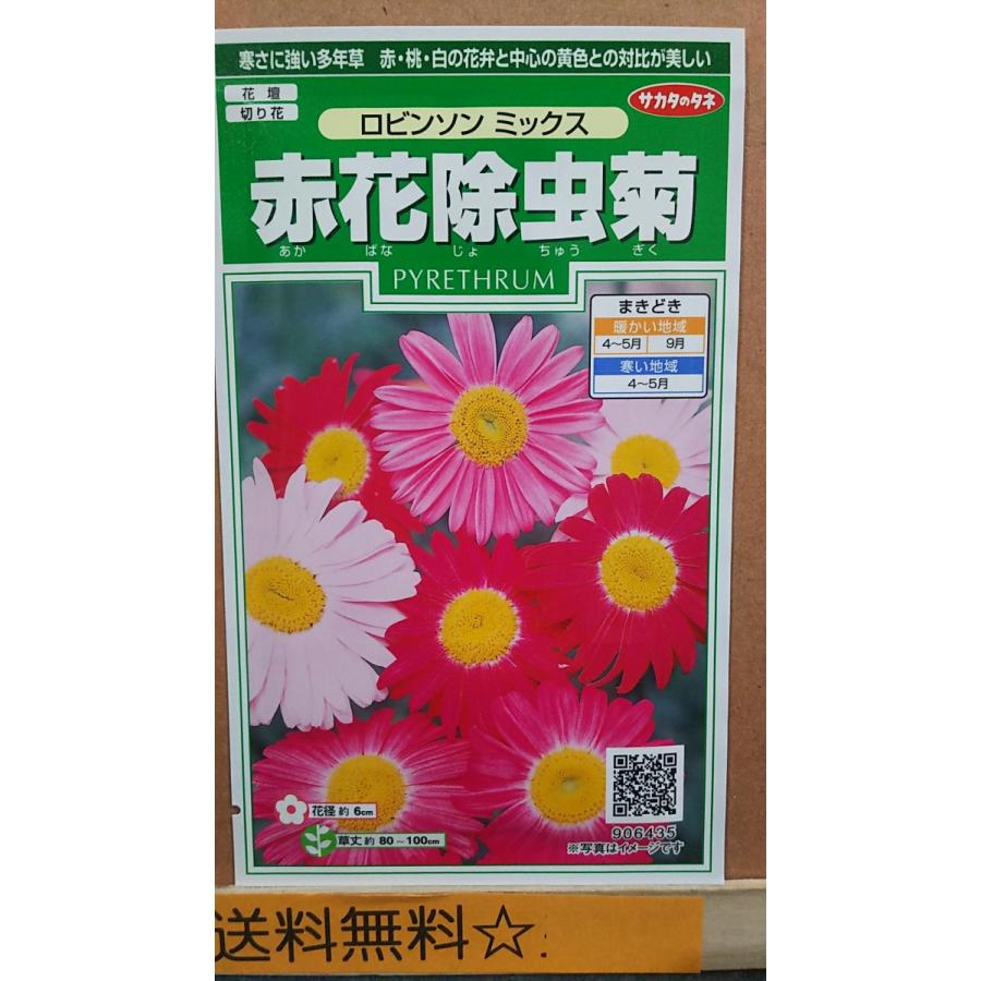赤花 除虫菊 ロビンソン ミックス 種 郵便は送料無料 Sr5cakajyotyu きのくに種苗店 通販 Yahoo ショッピング