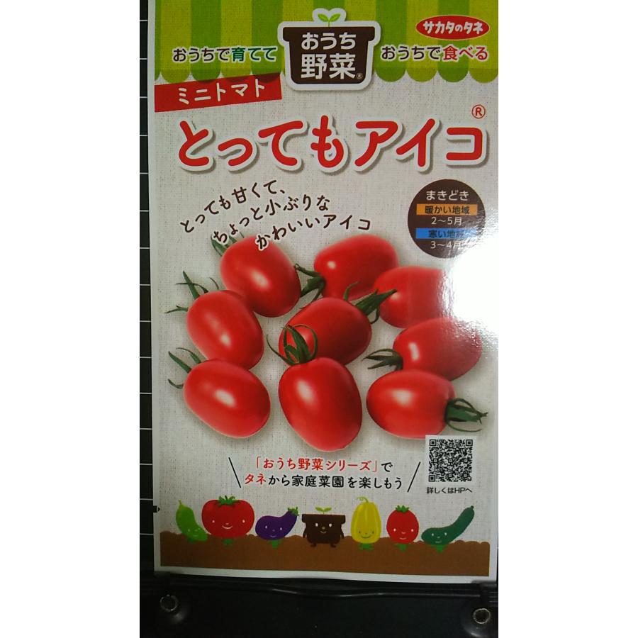 ミニトマト３つ 農園直送 つぶより ミニトマト 3kg入り│トマト プチトマト 甘い 野菜