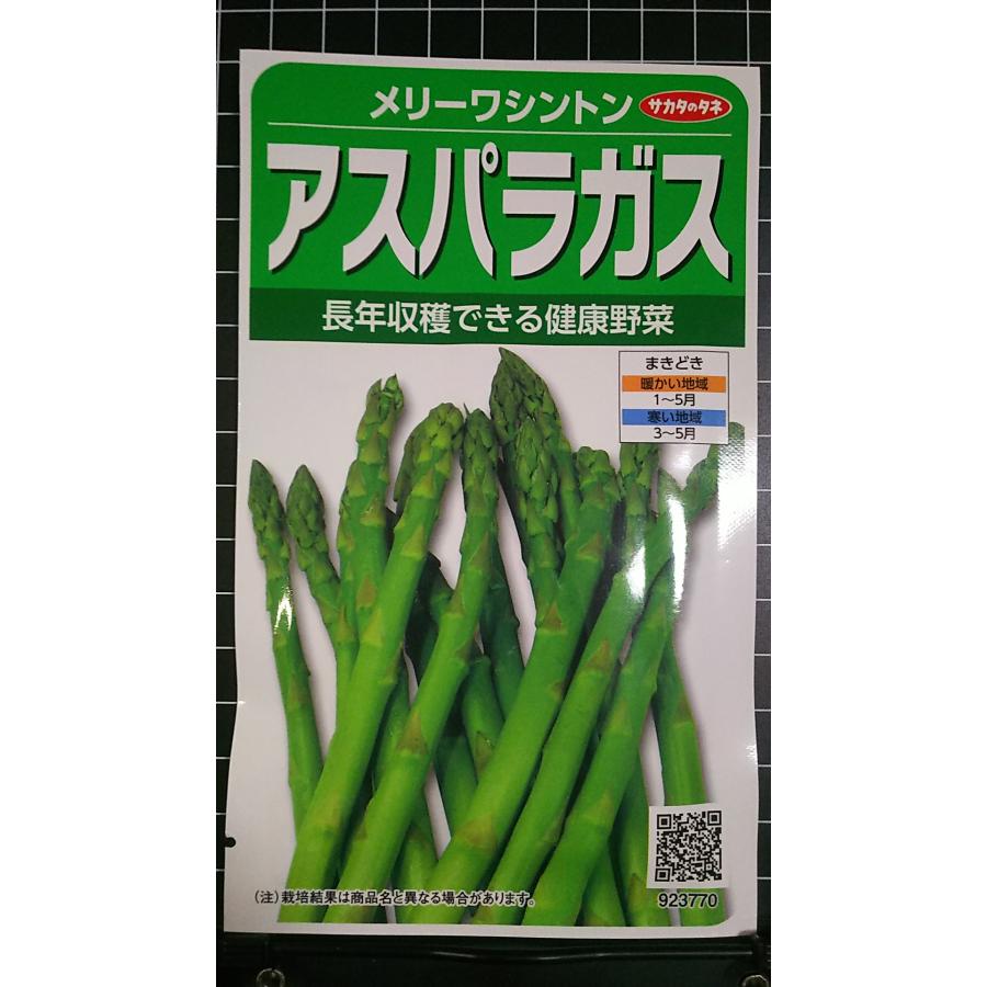 ３袋以上でクーポン割引 アスパラガス メリーワシントン 種 郵便は送料無料 | 