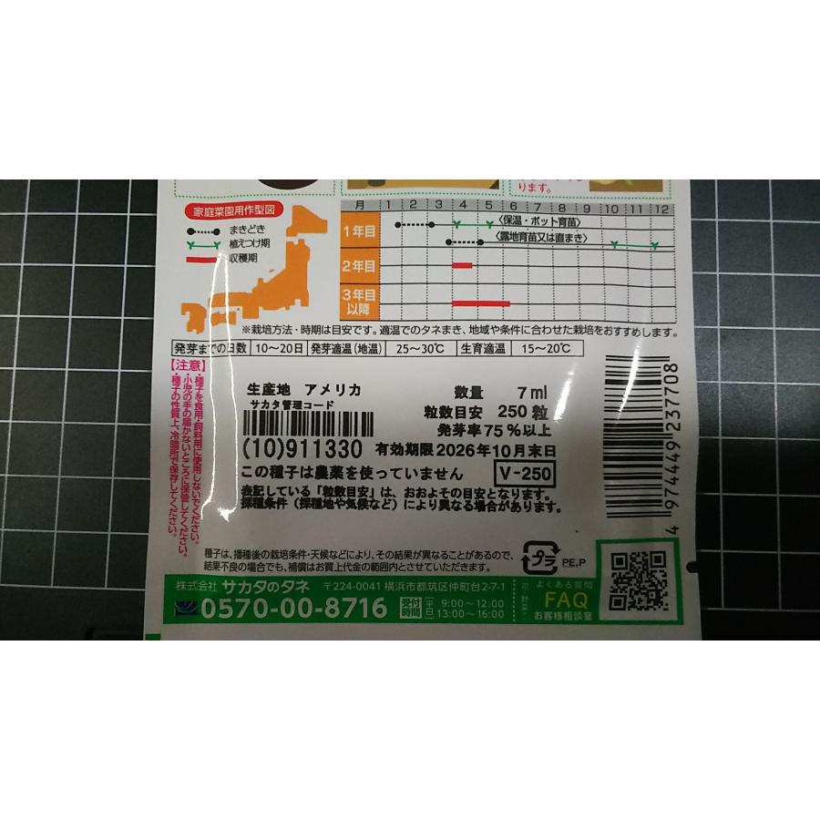 ３袋以上でクーポン割引 アスパラガス メリーワシントン 種 郵便は送料無料 |  | 02