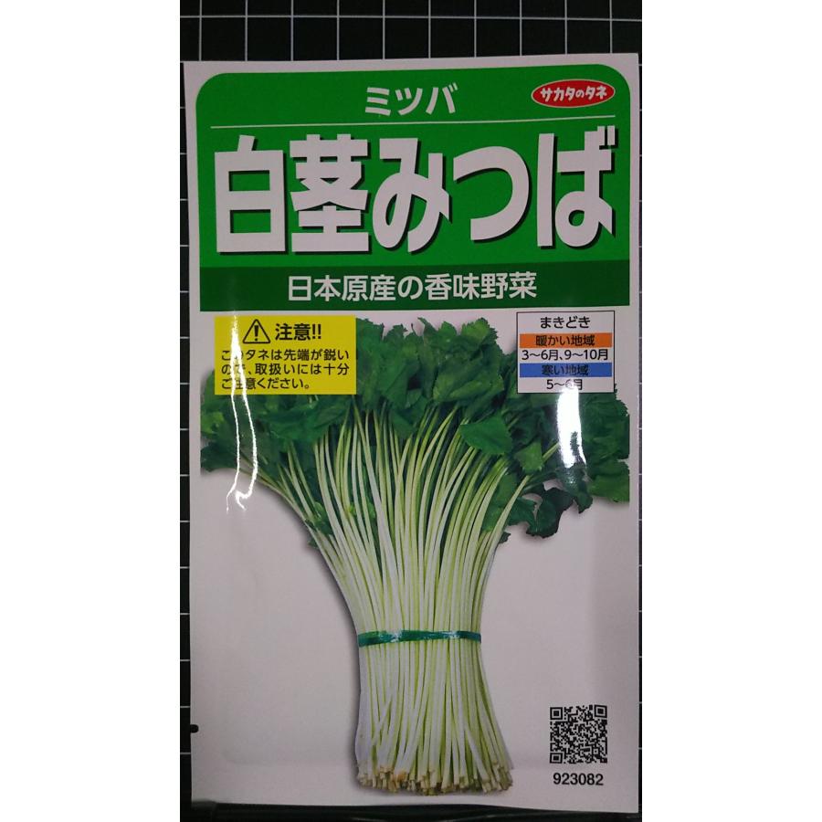 3袋以上でクーポン割引 白茎 みつば 香味野菜 三つ葉 三葉 種 郵便は