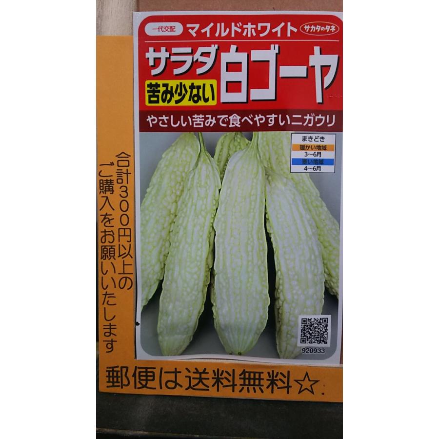 苦み少ない サラダ 白 ゴーヤ マイルド ホワイト 種 郵便は送料無料 Sr6amildwhite きのくに種苗店 通販 Yahoo ショッピング