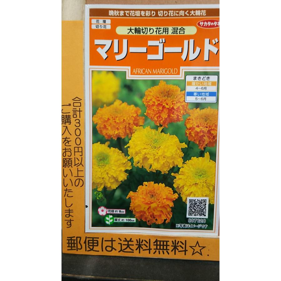 マリーゴールド 大輪 切り花用 混合 種 郵便は送料無料 Sr6cmarygdairinkiribana きのくに種苗店 通販 Yahoo ショッピング