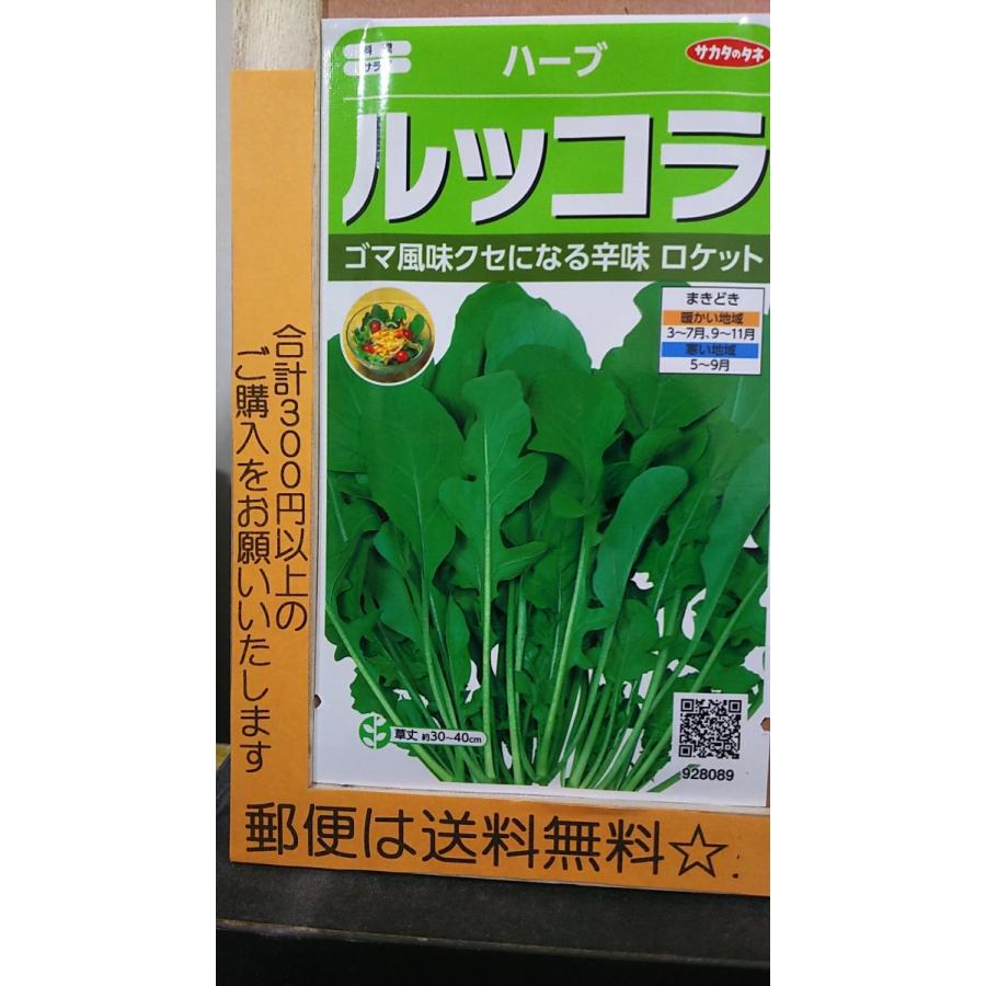 ルッコラ ロケット ゴマ 風味 ハーブ 種 郵便は送料無料 ハーブ
