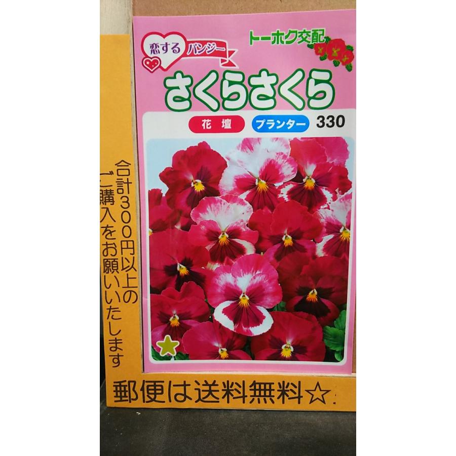 恋する パンジー さくらさくら 大好評です 種 郵便は送料無料