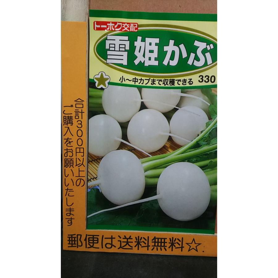 雪姫 かぶ 小かぶ 中かぶ 種 郵便は送料無料 Tk10ayukihime きのくに種苗店 通販 Yahoo ショッピング