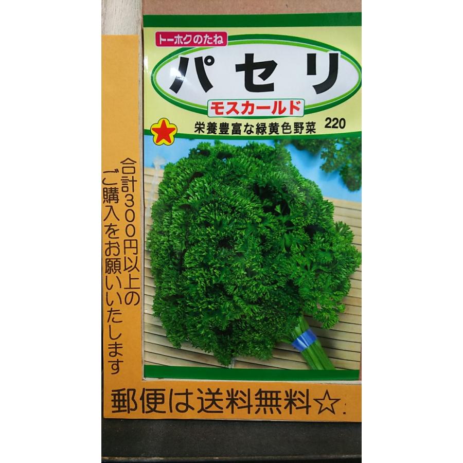 パセリ モスカールド 種 郵便は送料無料 Tk10bpaseri きのくに種苗店 通販 Yahoo ショッピング
