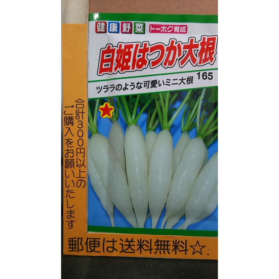 白姫 はつか 大根 ミニ ダイコン ２０日 種 郵便は送料無料 Capitaojuca Com