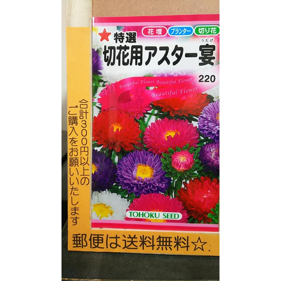 63円 人気no 1 アスター 切花用 宴 種 郵便は送料無料