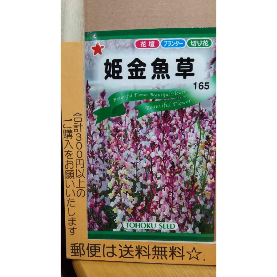 姫 金魚草 種 郵便は送料無料 姫金魚草 Tk10chimekingyo きのくに種苗店 通販 Yahoo ショッピング