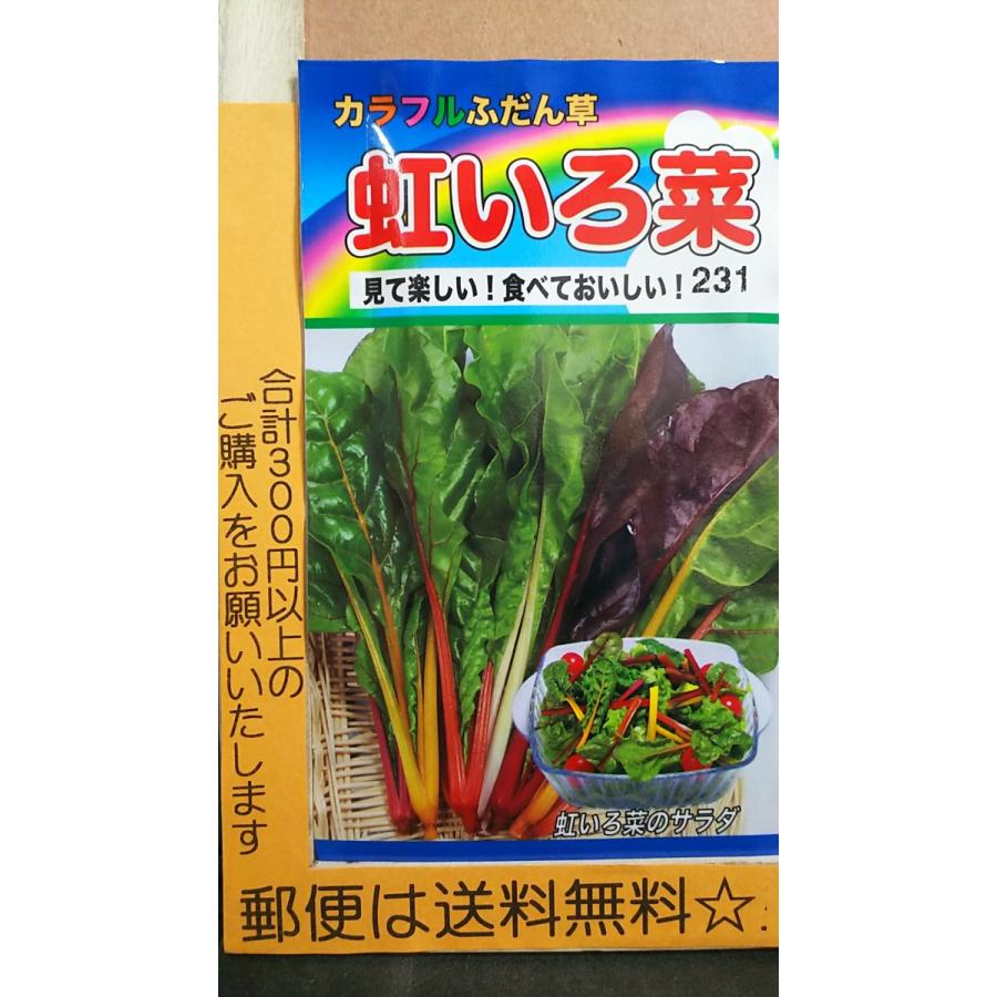 オンラインショップ 虹いろ菜 カラフル ふだん草 ベビーリーフ 種 郵便は送料無料 信頼