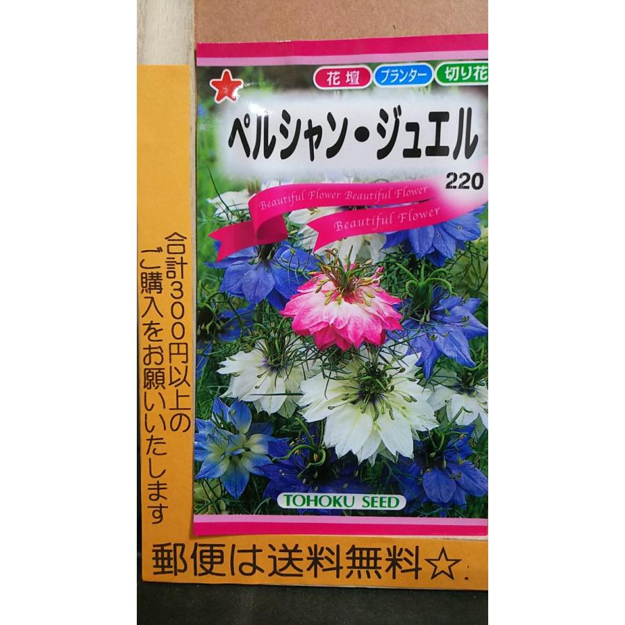 ３袋以上でクーポン割引 ペルシャン ジュエル ニゲラ クロタネソウ 種 郵便は送料無料 Tk10cperutyanjyueru きのくに種苗店 通販 Yahoo ショッピング