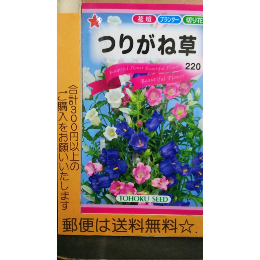 つりがね草 ツリガネソウ フウリンソウ 種 郵便は送料無料 Tk10cturigane きのくに種苗店 通販 Yahoo ショッピング