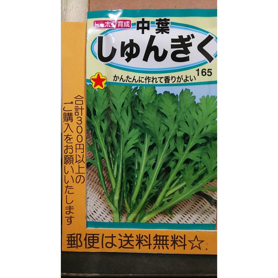 49円 13周年記念イベントが 中葉 春菊 しゅんぎく 種 郵便は送料無料