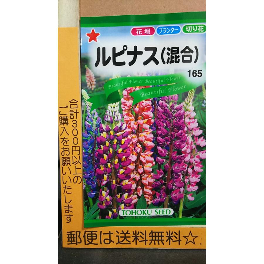 21新入荷 ルピナス 混合 種 郵便は送料無料