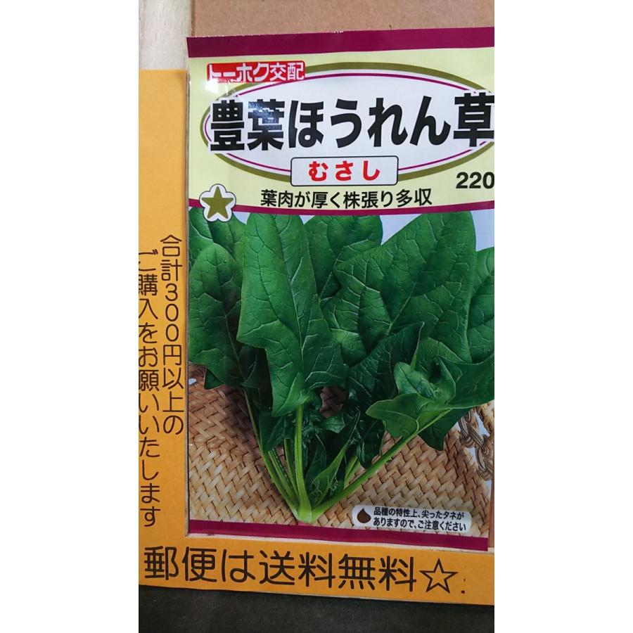 3袋以上でクーポン割引 豊葉 ほうれん草 むさし ホウレンソウ 種 郵便は送料無料 :tk11ahouyoumusasi:きのくに種苗店 - 通販 - Yahoo!ショッピング 3袋以上でクーポン割引 豊葉 ほうれん草 むさし ホウレンソウ 種 郵便は送料無料 :tk11ahouyoumusasi:きのくに種苗店 - 通販 - Yahoo!ショッピング