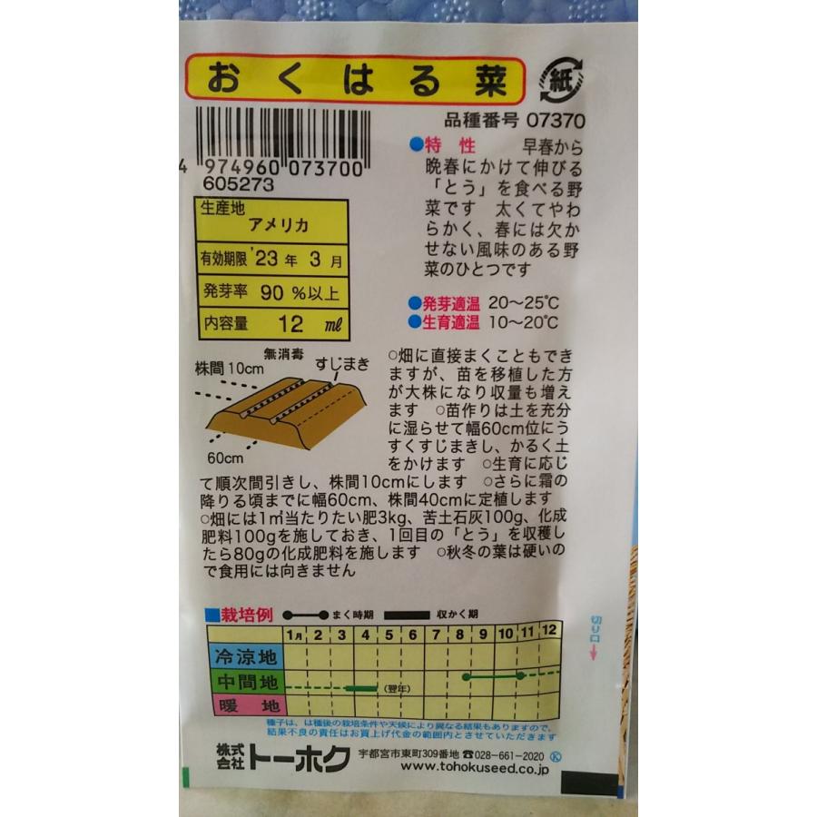 3袋以上でクーポン割引 おくはる菜 とう菜 種 郵便は送料無料|aridafarm|02