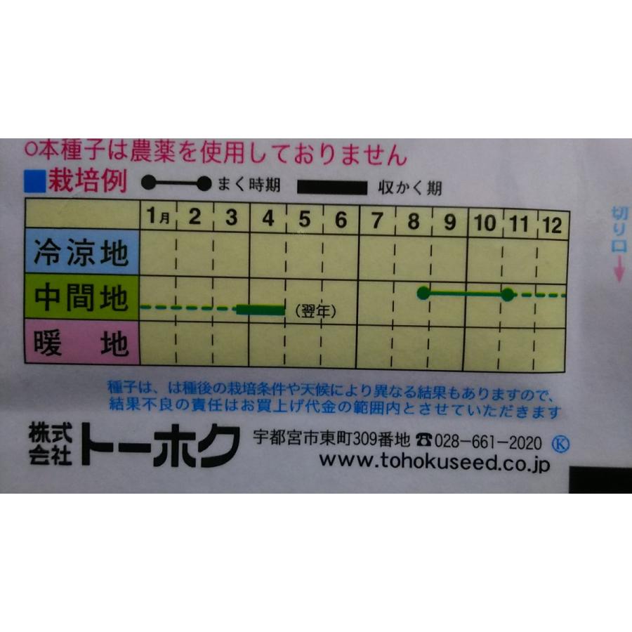 3袋以上でクーポン割引 おくはる菜 とう菜 種 郵便は送料無料|aridafarm|03