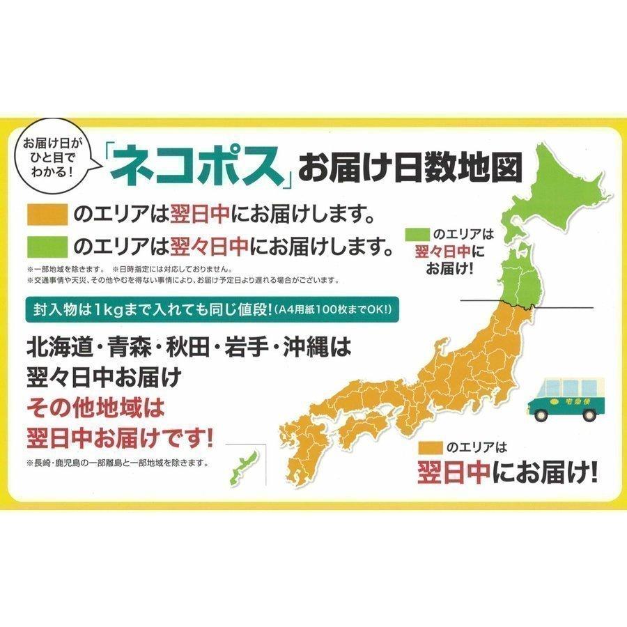 3袋以上でクーポン割引 おくはる菜 とう菜 種 郵便は送料無料|aridafarm|04