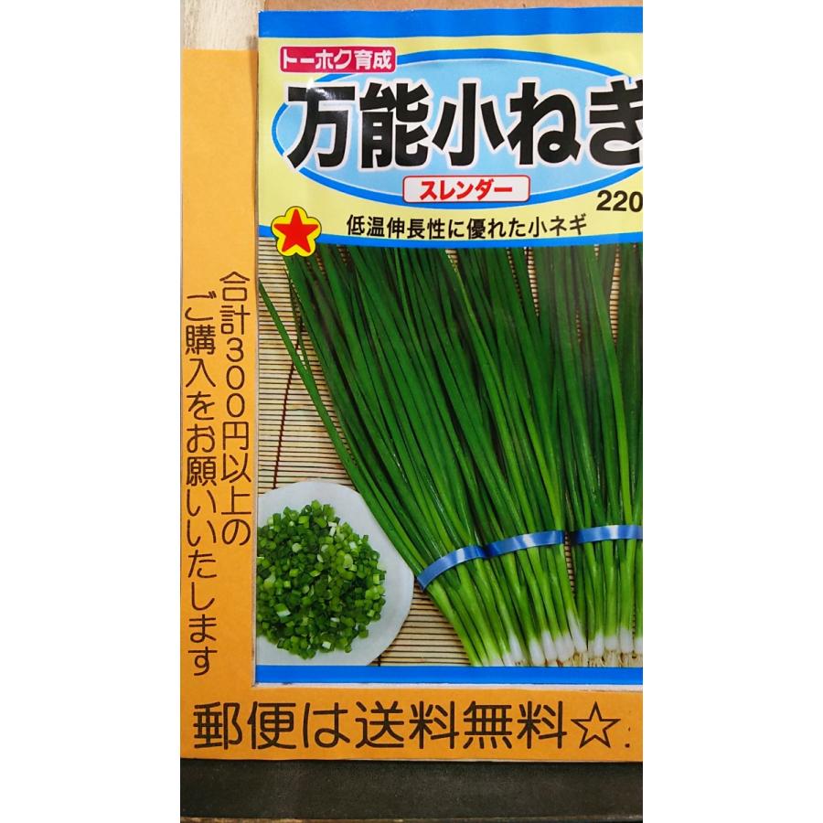 万能 小ねぎ スレンダー コネギ 種 郵便は送料無料 Tk11asurenda きのくに種苗店 通販 Yahoo ショッピング