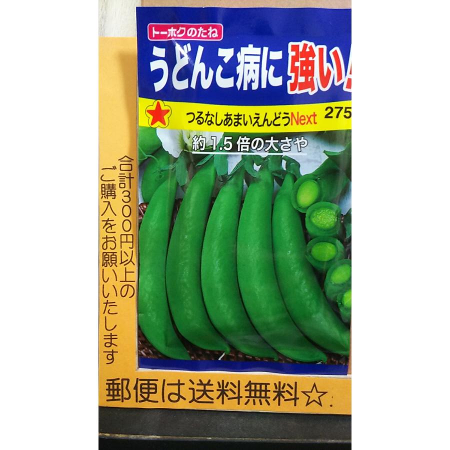 つるなし あまい えんどう Next うどんこ病に強い 種 郵便は送料無料 Tk12aamaiendounext きのくに種苗店 通販 Yahoo ショッピング