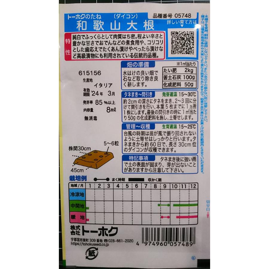 ３袋以上でクーポン割引 和歌山 大根 紀州 種 郵便は送料無料 だいこん