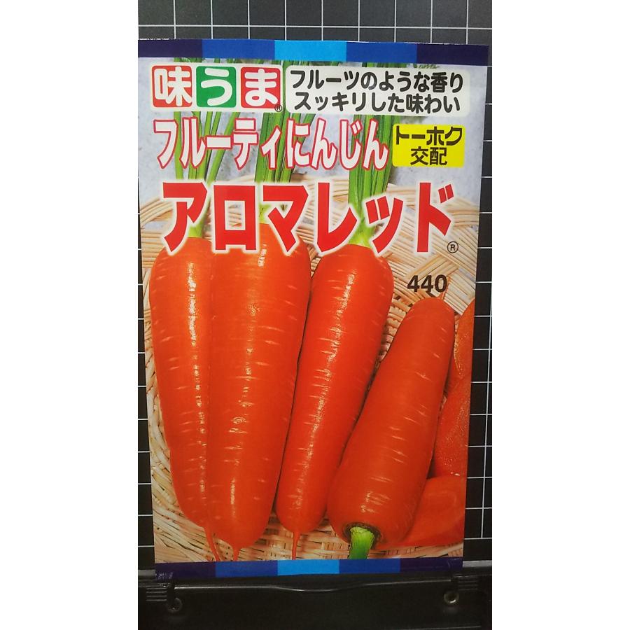 ニンジン　種　アロマレッド　１万粒　2袋 人参] アロマレッド コート1万粒 (株)トーホク(野菜種/人参