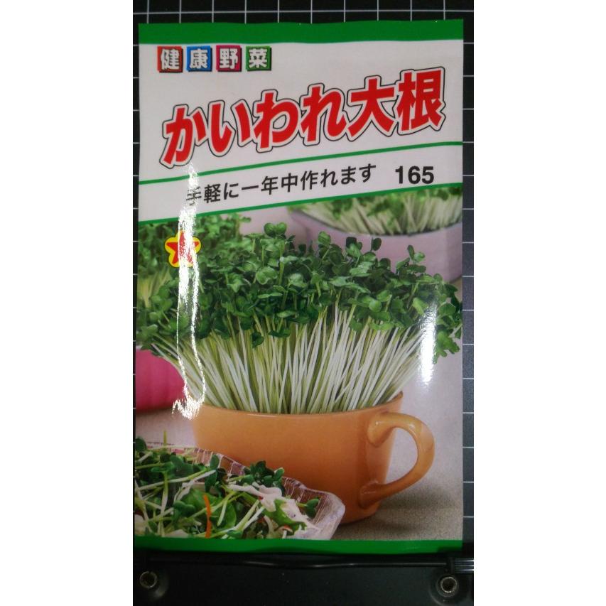 ３袋以上でクーポン割引 かいわれ大根 カイワレ 種 郵便は送料無料 | 
