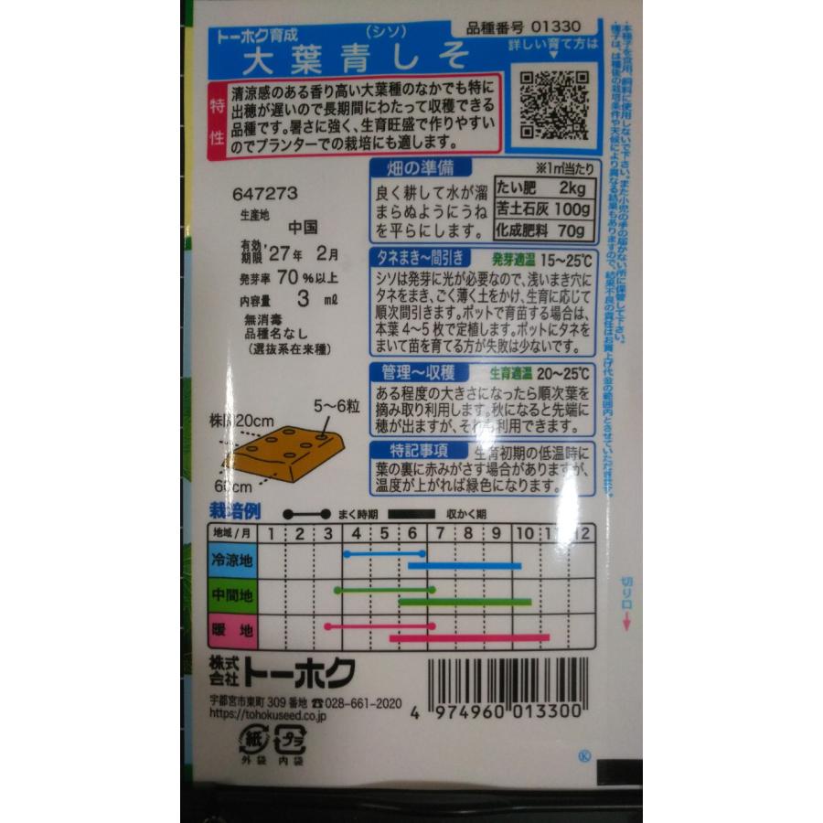 3袋以上でクーポン割引 大葉 青 しそ アオシソ 種 郵便は送料無料