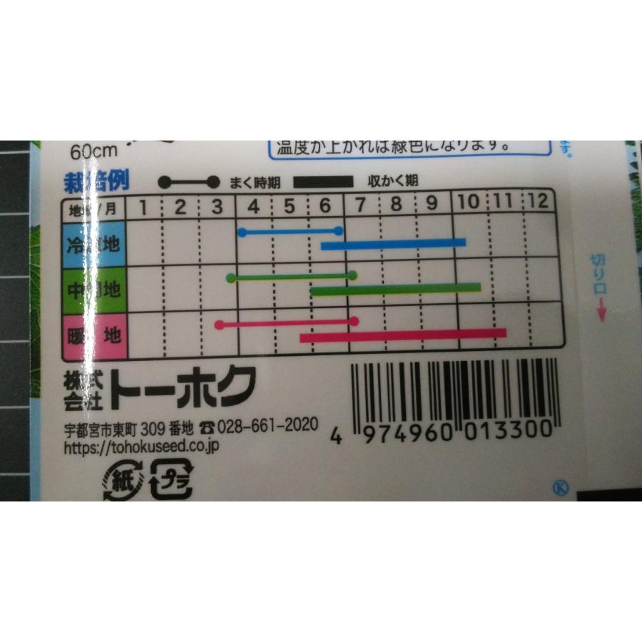 3袋以上でクーポン割引 大葉 青 しそ アオシソ 種 郵便は送料無料