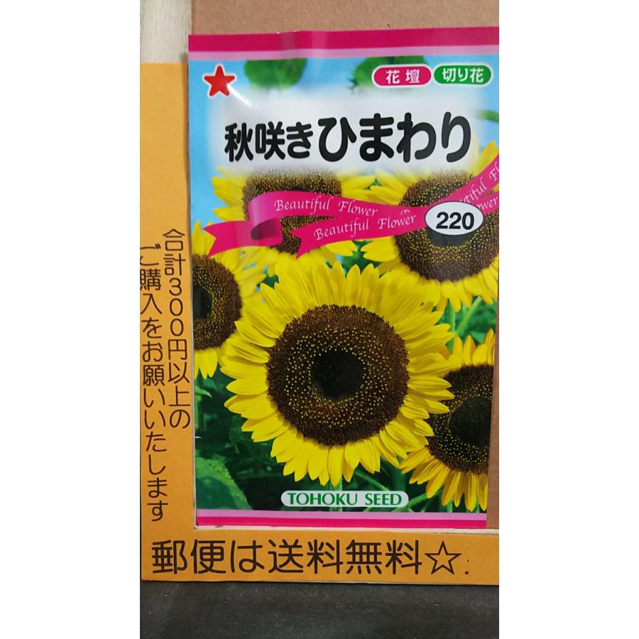 63円 格安激安 秋咲き ひまわり 向日葵 種 郵便は送料無料