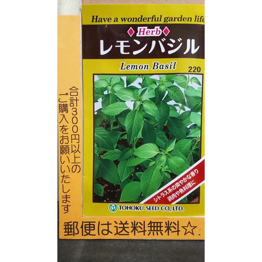 レモン バジル シトラス ハーブ 郵便は送料無料 ボタジュガーデン ご予約品 種