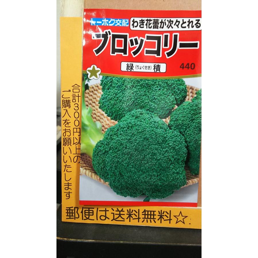 126円 新作販売 ブロッコリー 緑積 種 郵便は送料無料