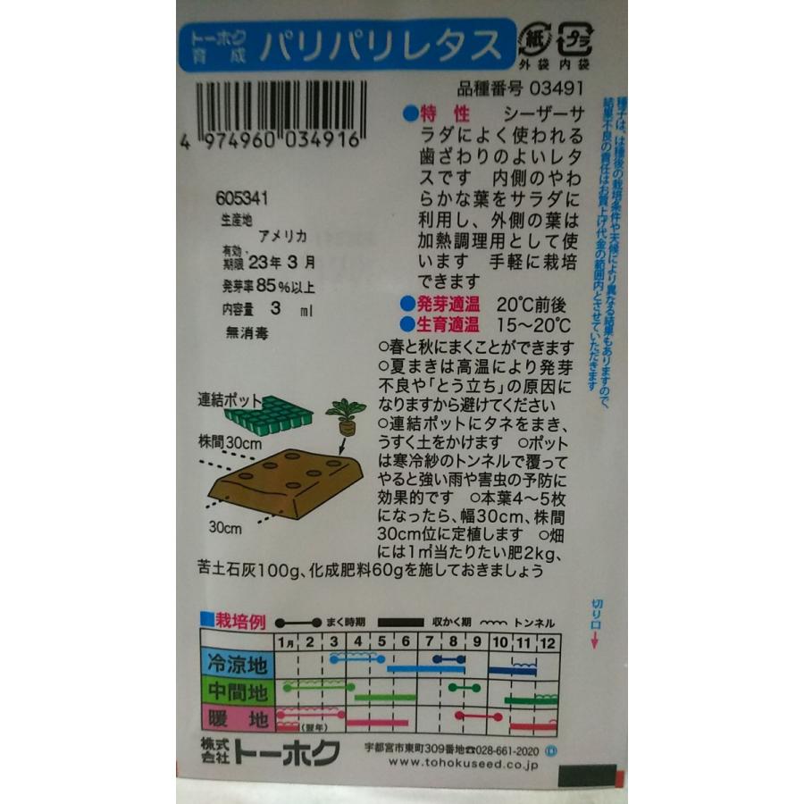 パリパリ レタス ロメイン コス 種 郵便は送料無料|aridafarm|02