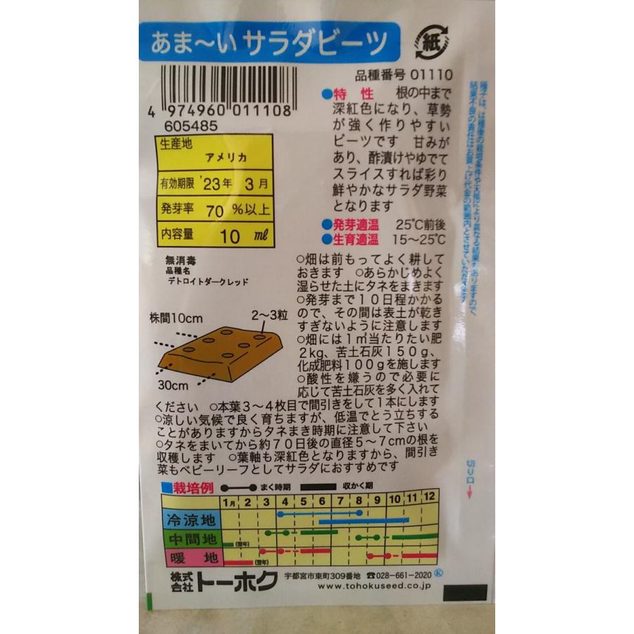 時間指定不可 あま い サラダ ビーツ 種 郵便は送料無料 Aynaelda Com
