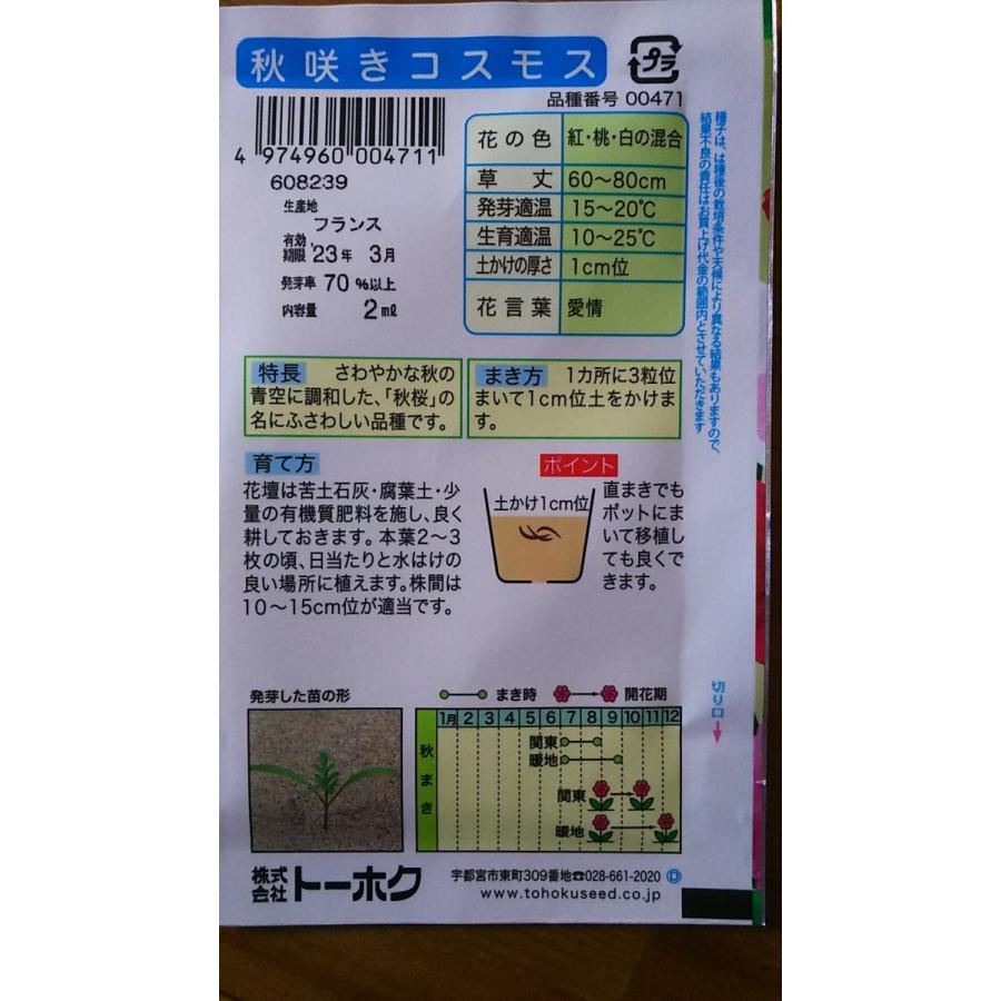 秋咲き コスモス 秋桜 種 郵便は送料無料 Tk9cakikosumosu きのくに種苗店 通販 Yahoo ショッピング