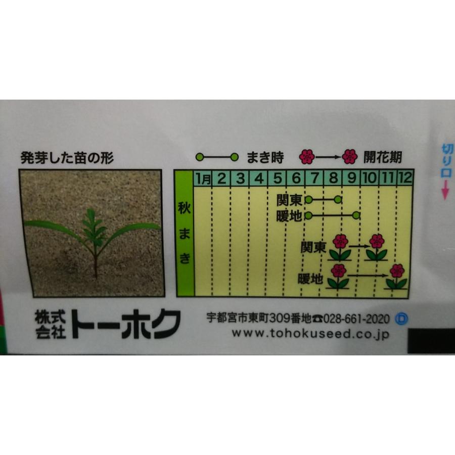 秋咲き コスモス 秋桜 種 郵便は送料無料 Tk9cakikosumosu きのくに種苗店 通販 Yahoo ショッピング