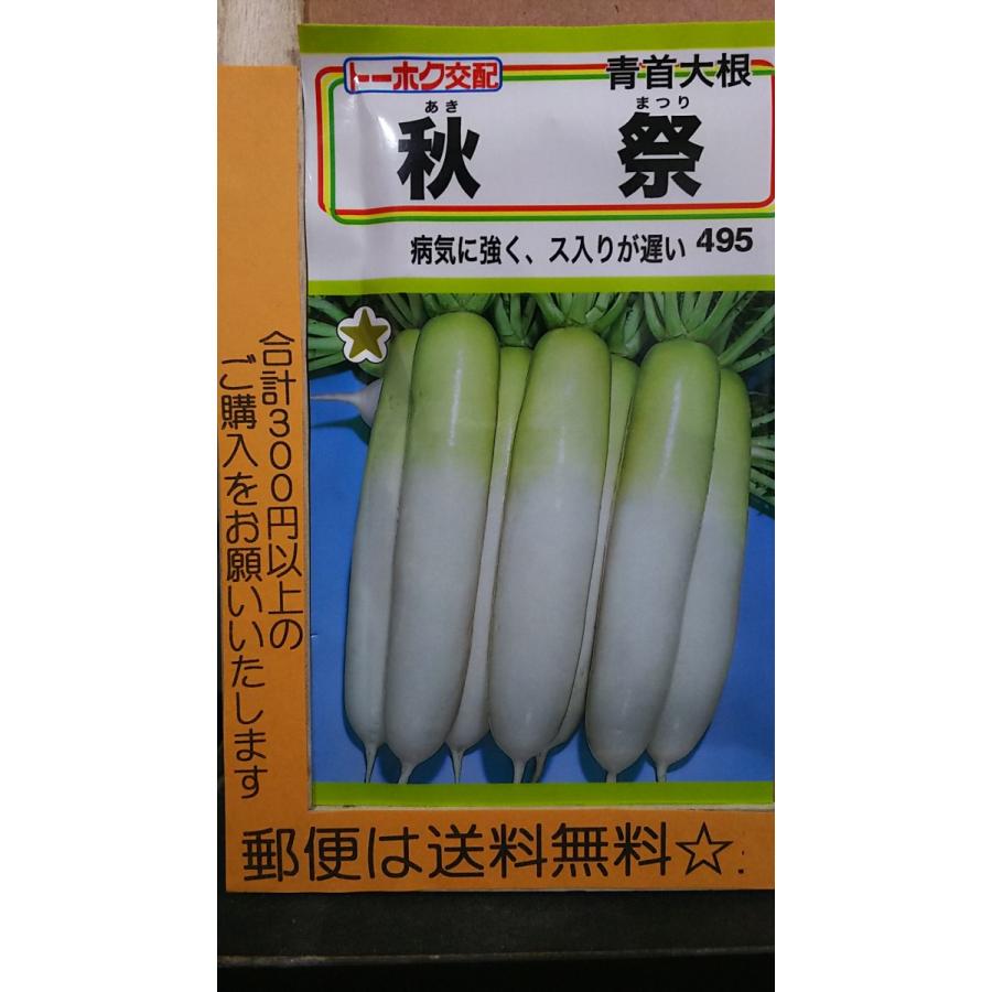 最大40 Offクーポン 秋祭 青首 大根 ダイコン 種 郵便は送料無料 Whitesforracialequity Org