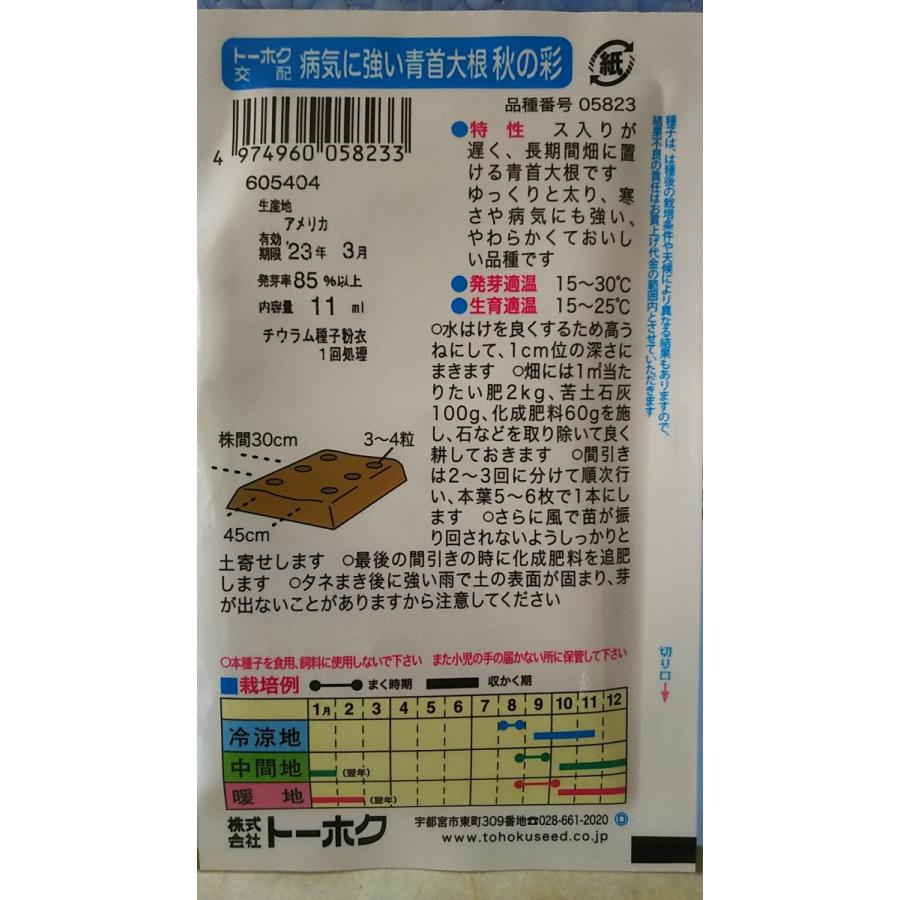正規店 秋の彩 青首 大根 病気に強い ダイコン 種 郵便は送料無料 Whitesforracialequity Org
