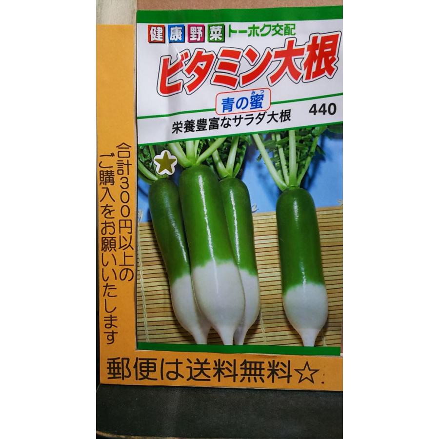 ビタミン 大根 青の蜜 サラダ ダイコン 種 郵便は送料無料 Tk9cbitamindaikon きのくに種苗店 通販 Yahoo ショッピング