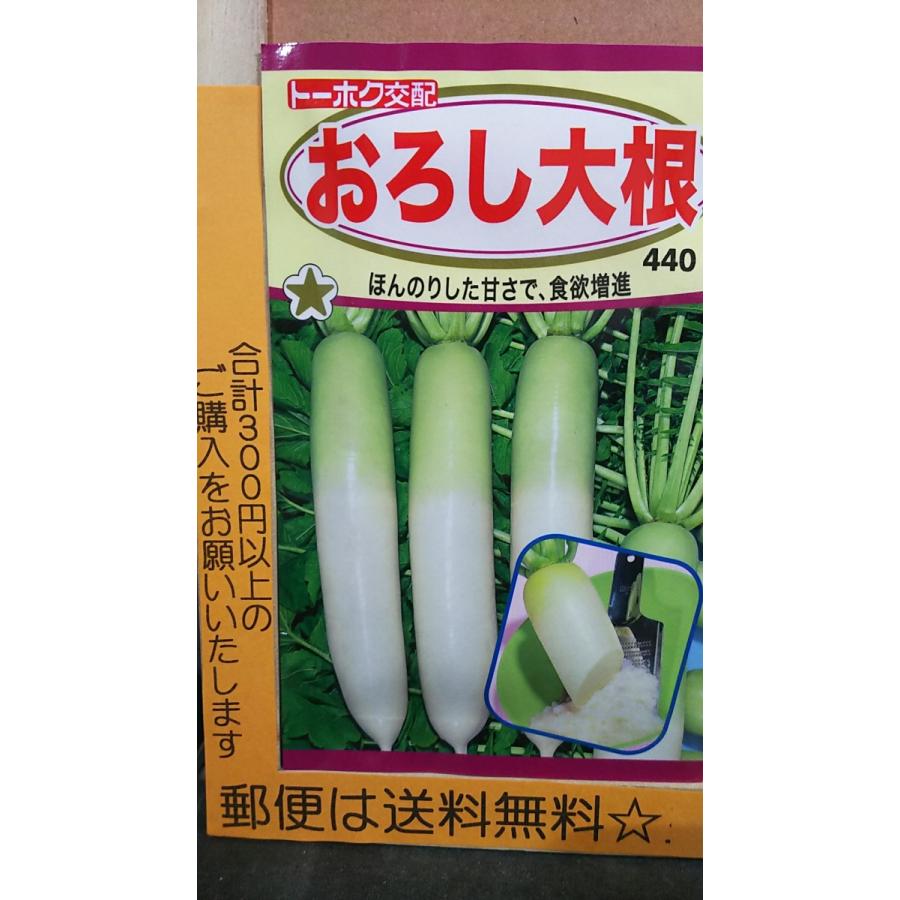 3袋以上でクーポン割引 おろし オロシ 大根 ダイコン 種 郵便は送料無料 :tk9corosidaikon:きのくに種苗店 - 通販 - Yahoo!ショッピング 3袋以上でクーポン割引 おろし オロシ 大根 ダイコン 種 郵便は送料無料 :tk9corosidaikon:きのくに種苗店 - 通販 - Yahoo!ショッピング