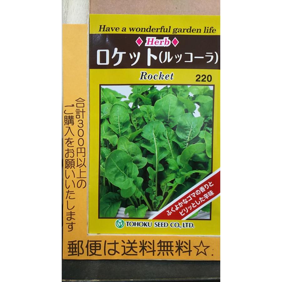 ロケット ルッコーラ ルッコラ イタリアン ハーブ 種 郵便は送料無料 Belle Ile Nature Org