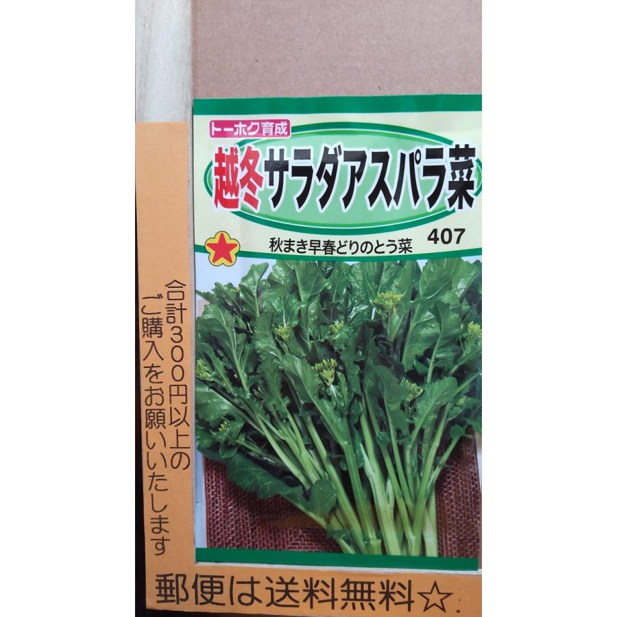 サラダ アスパラ菜 越冬タイプ とう菜 種 郵便は送料無料 Tk9csaradaasuparana きのくに種苗店 通販 Yahoo ショッピング
