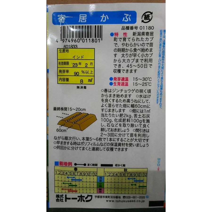 3袋以上でクーポン割引 寄居 かぶ よりい 種 郵便は送料無料|aridafarm|02