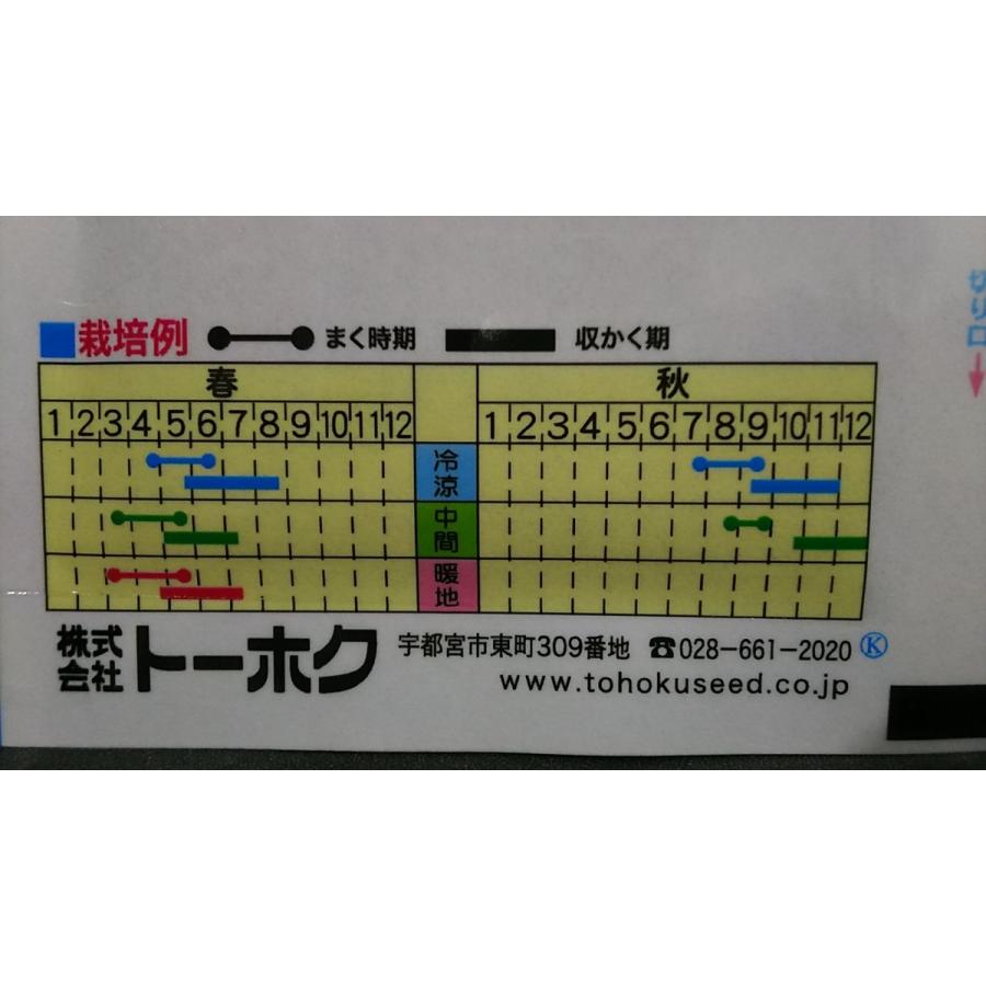 3袋以上でクーポン割引 寄居 かぶ よりい 種 郵便は送料無料|aridafarm|03
